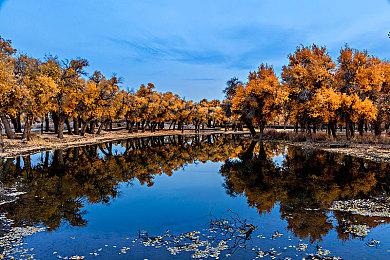 《全面战争》开发商CA致歉玩家 承诺免费DLC和退款以补偿玩家